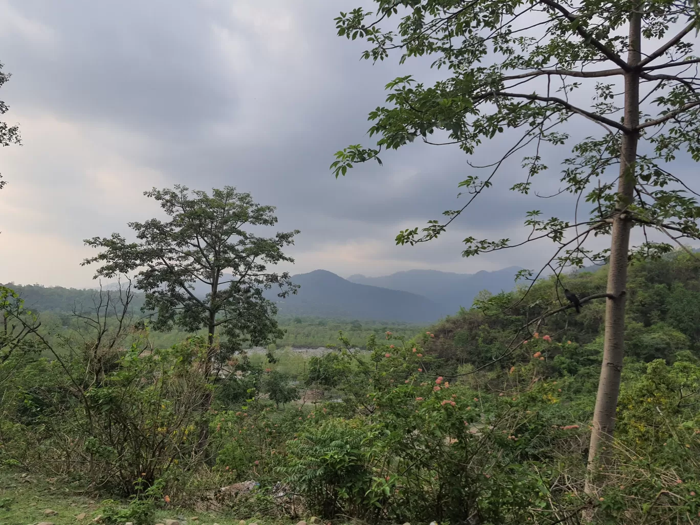 Photo of Thano By Vidushi Sharma