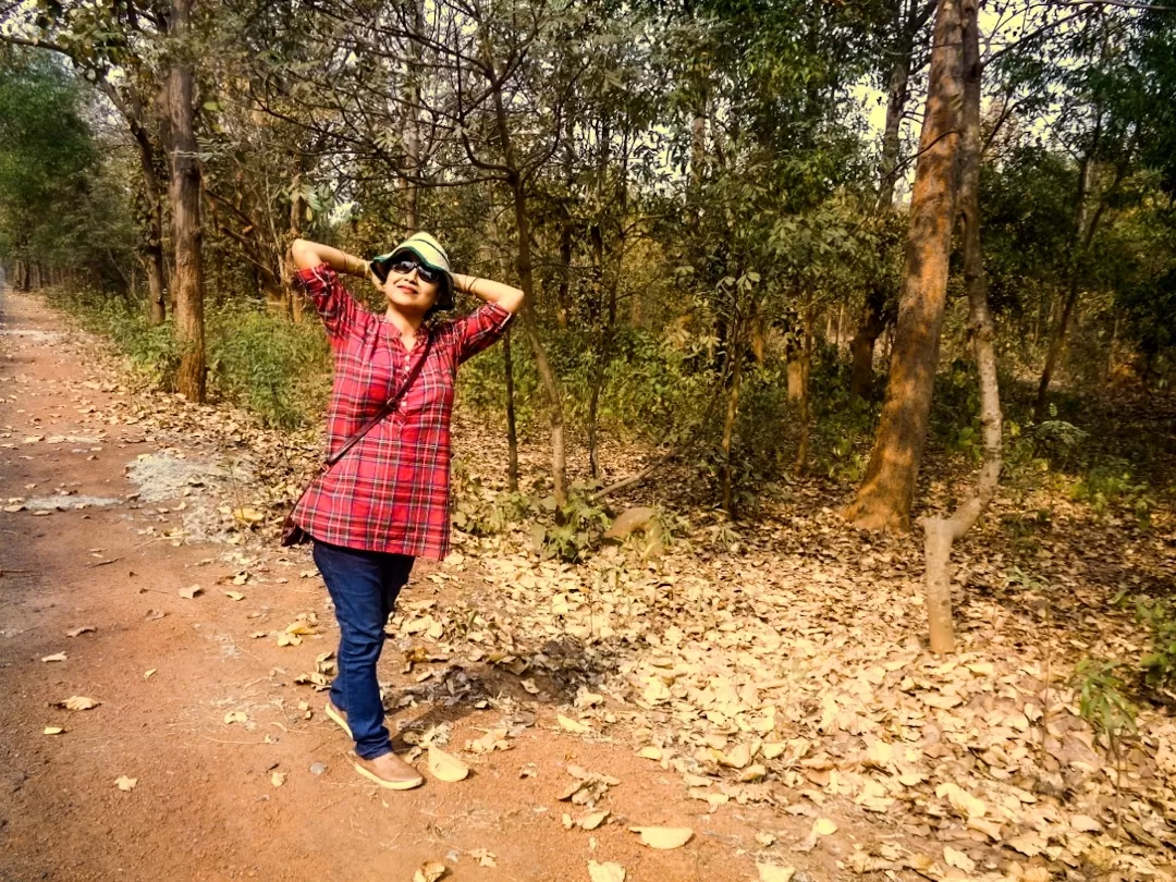 Photo of Joypur Forest Observation Tower By Saini Deb