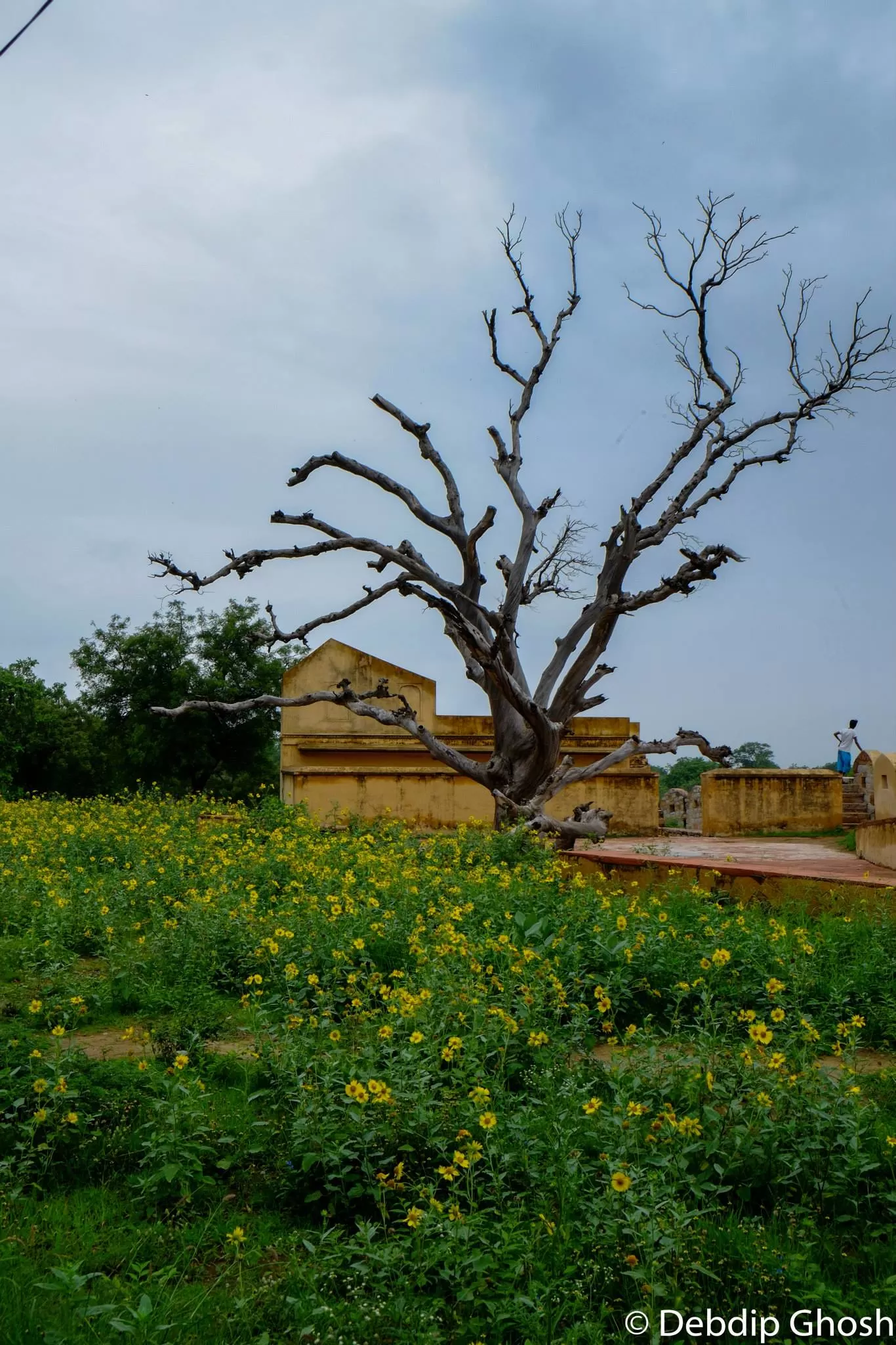 Photo of Jaipur By Debdip Ghosh