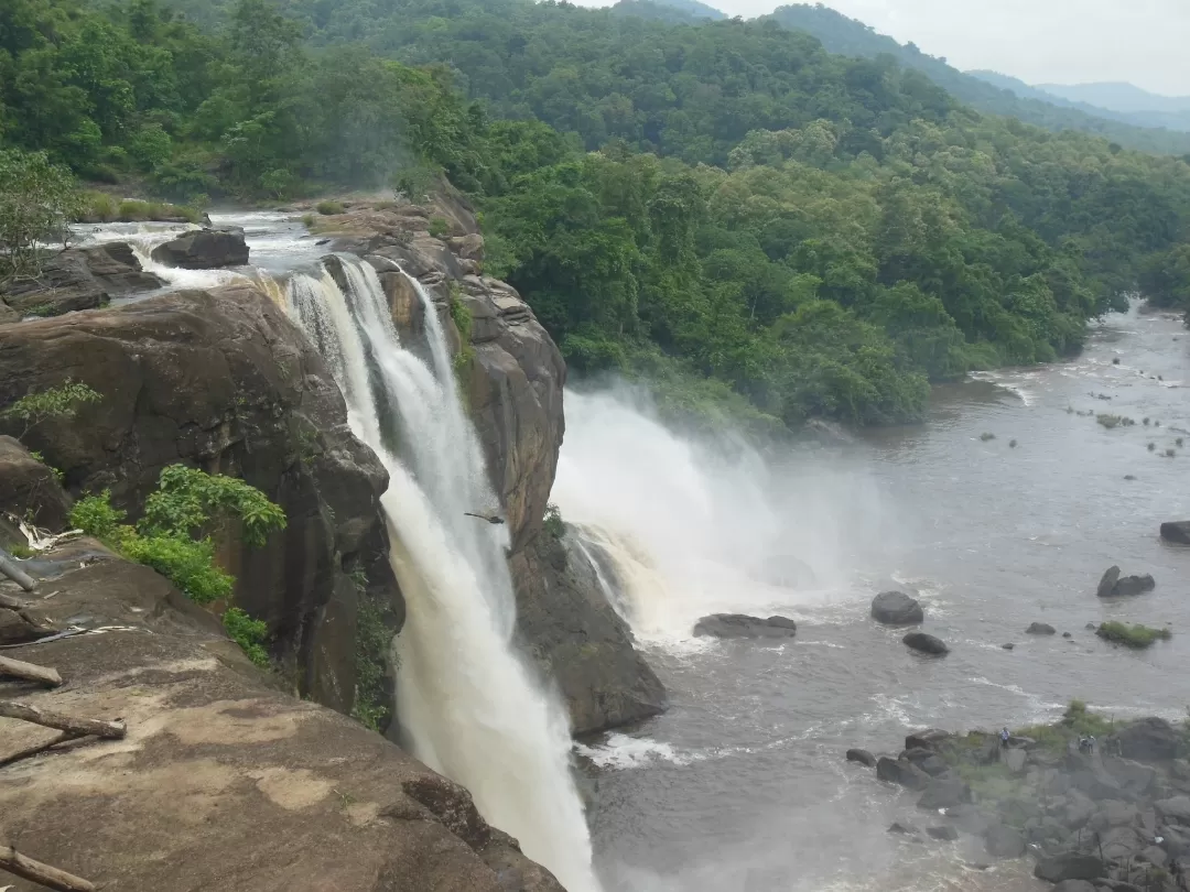 Photo of Mankara By Tn Navaneeth Mankara