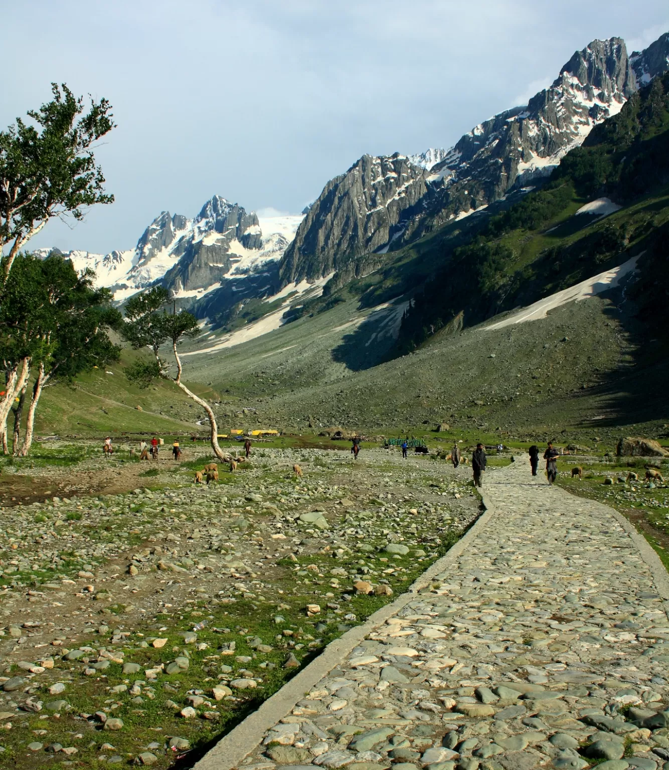 Photo of Sonamarg By Adnan Ali Zahidani