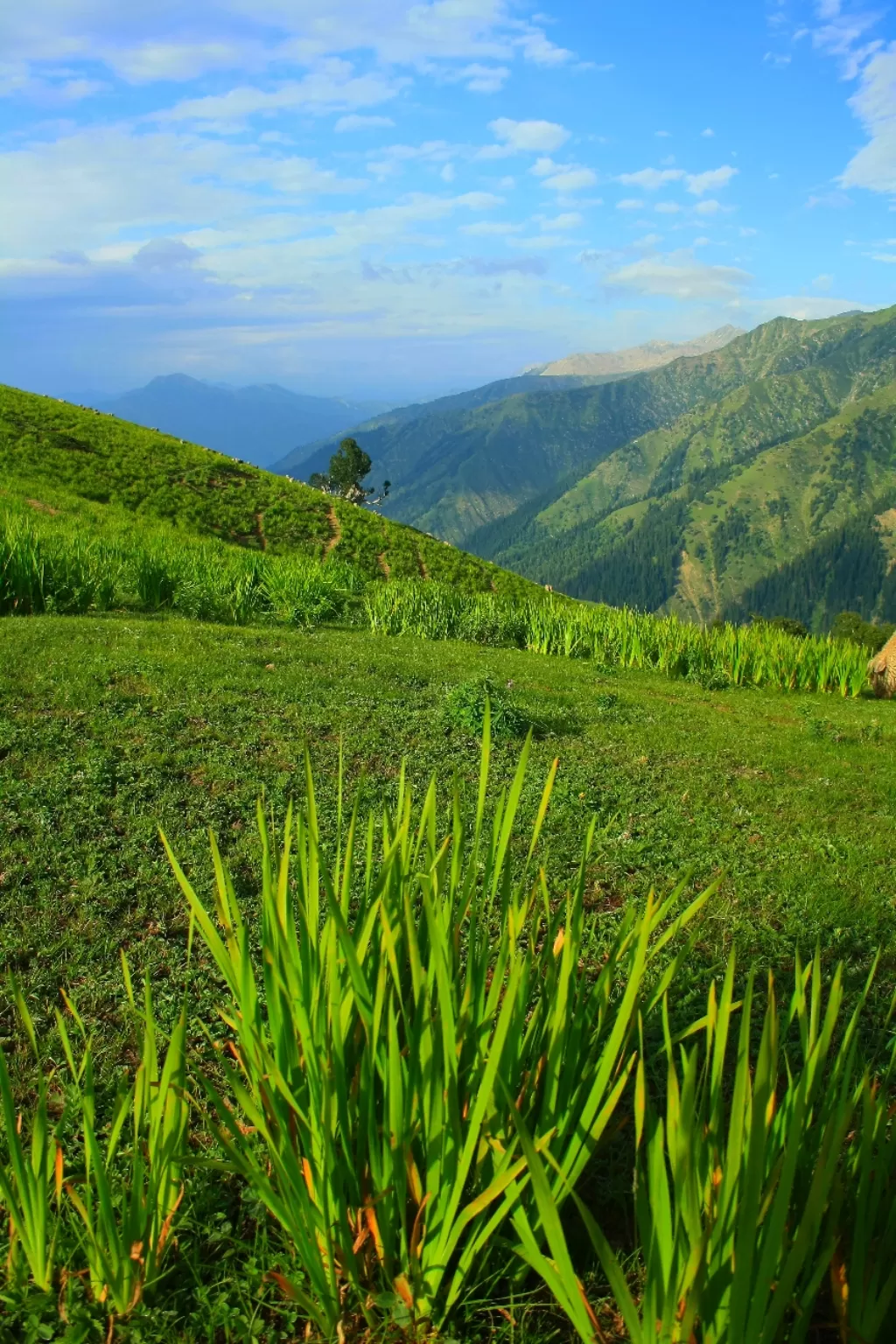 Photo of Gurez Valley By Adnan Ali Zahidani