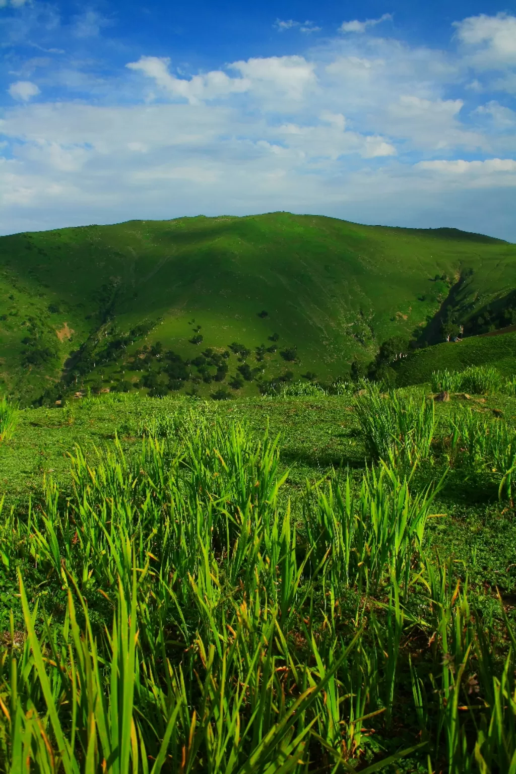 Photo of Gurez Valley By Adnan Ali Zahidani