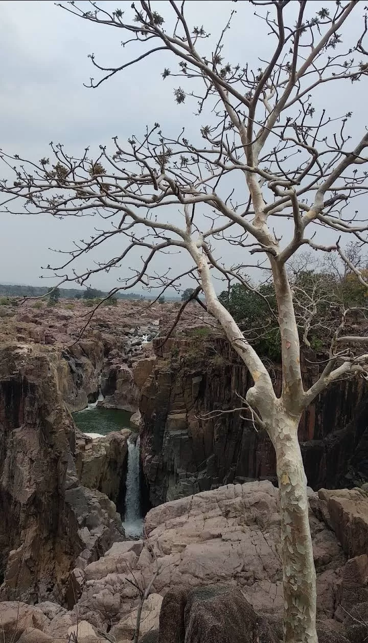 Photo of Raneh Water Falls By Neeraj Dwivedee