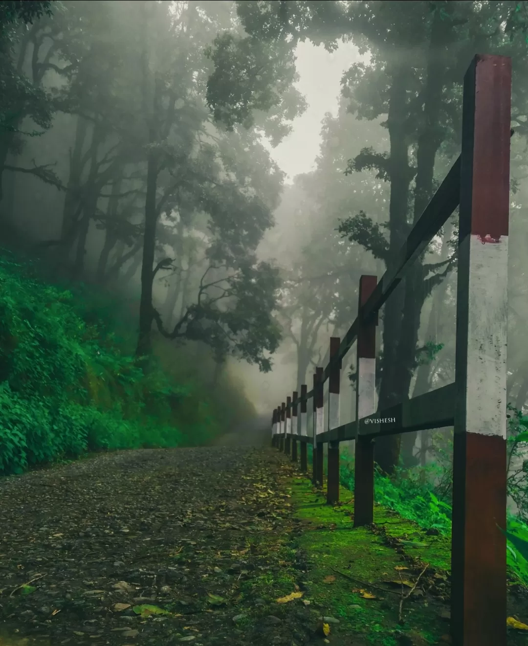 Photo of Nainital By Vìshèsh Míshrã