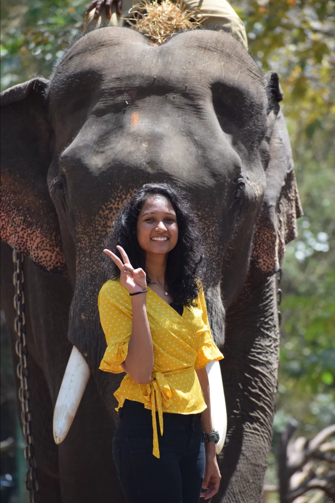 Photo of Sakrebailu Elephant Training Camp By Kruthika gowda