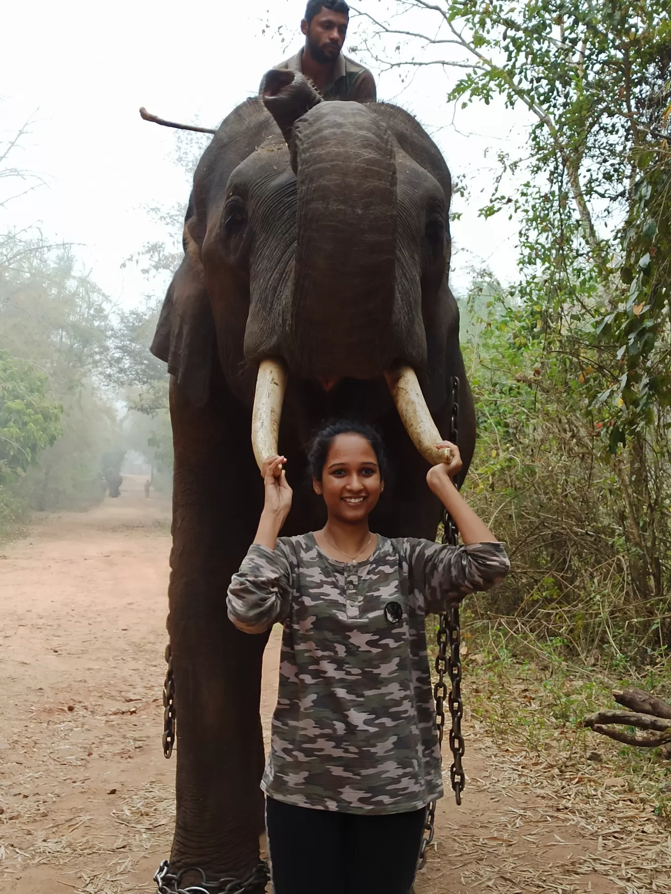 Photo of Sakrebailu Elephant Training Camp By Kruthika gowda