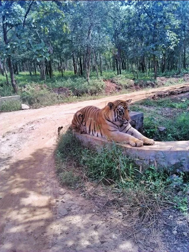 Photo of Shimoga Zoo & Safari By Kruthika gowda