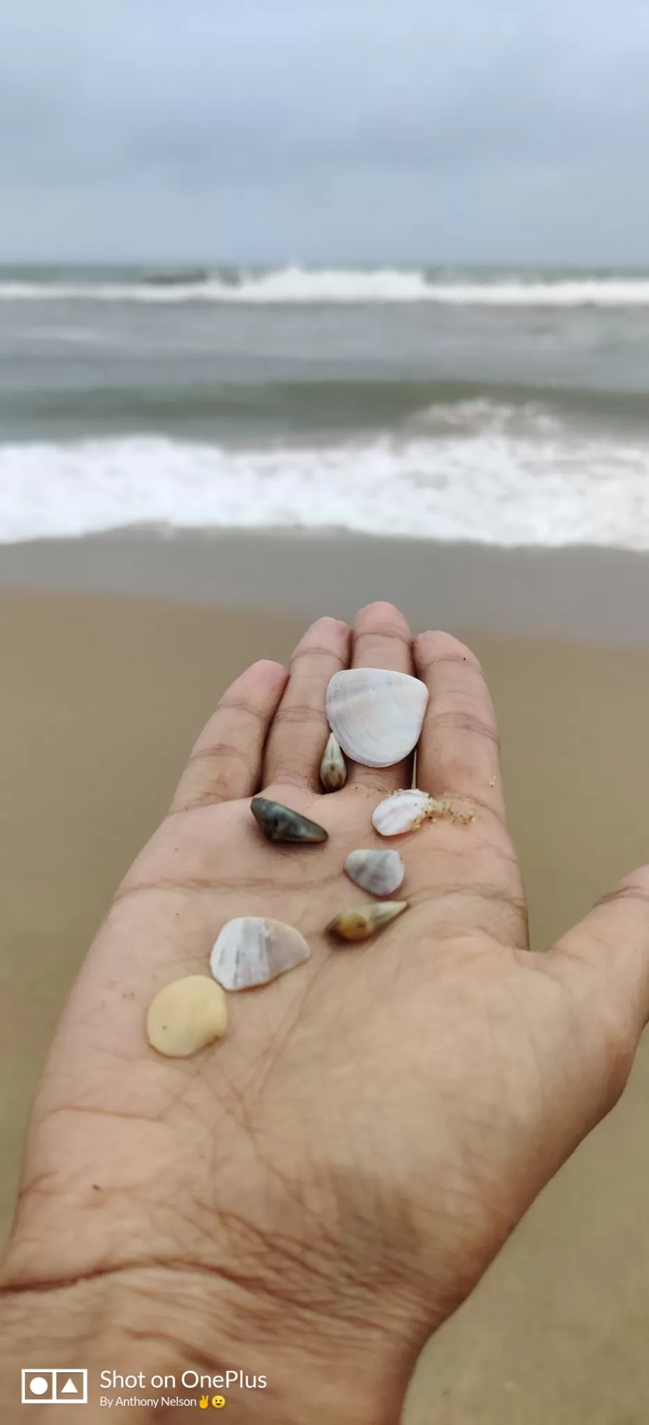 Photo of Paradise Beach By Kruthika gowda