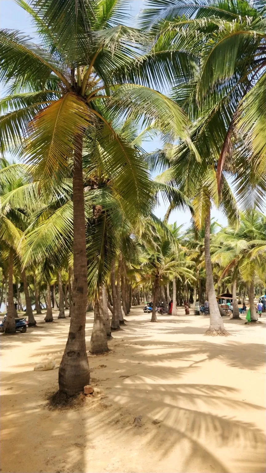 Photo of Paradise Beach By Prerana Prasanna