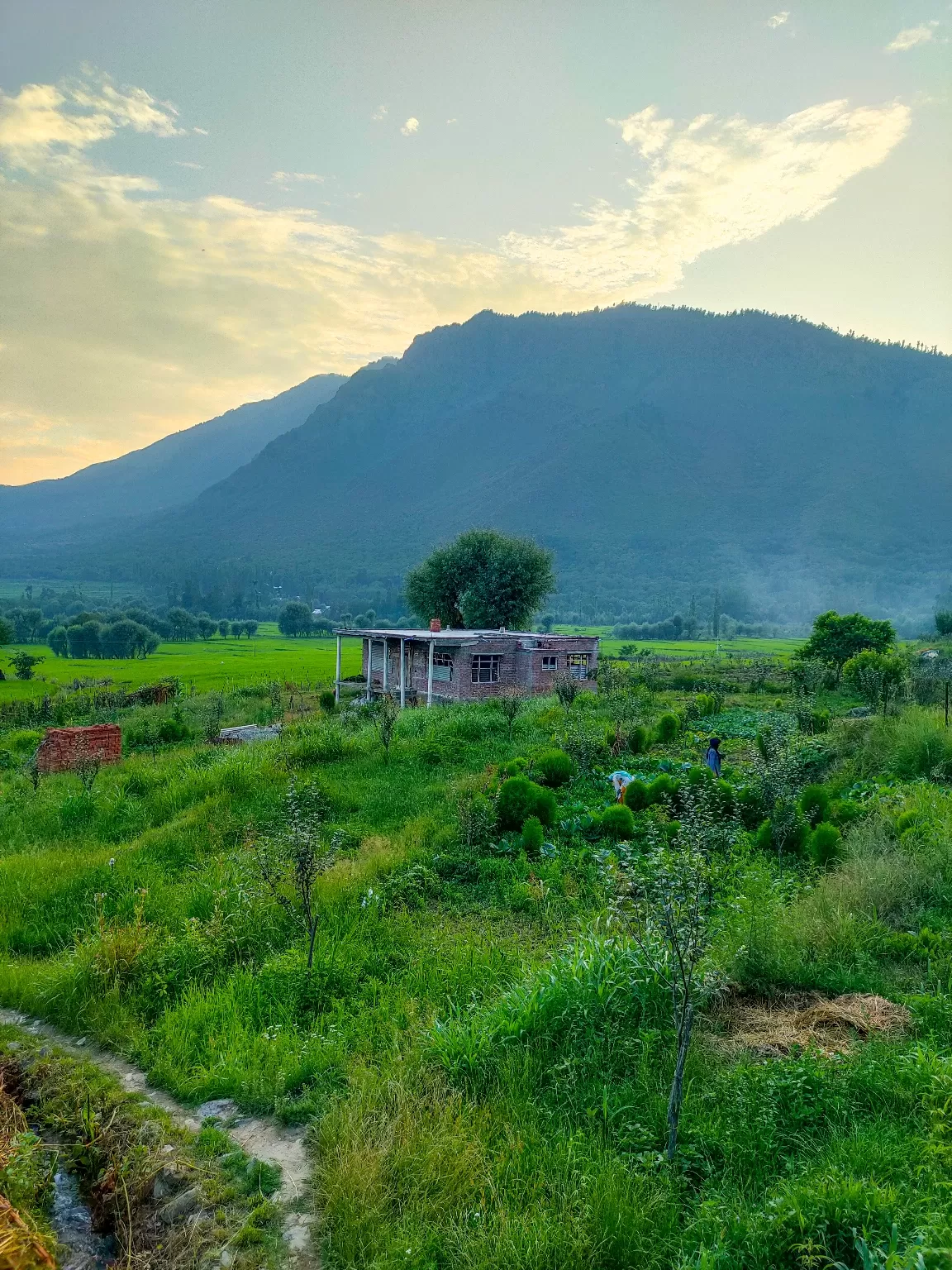 Photo of Tral By Mursaleen Wafai