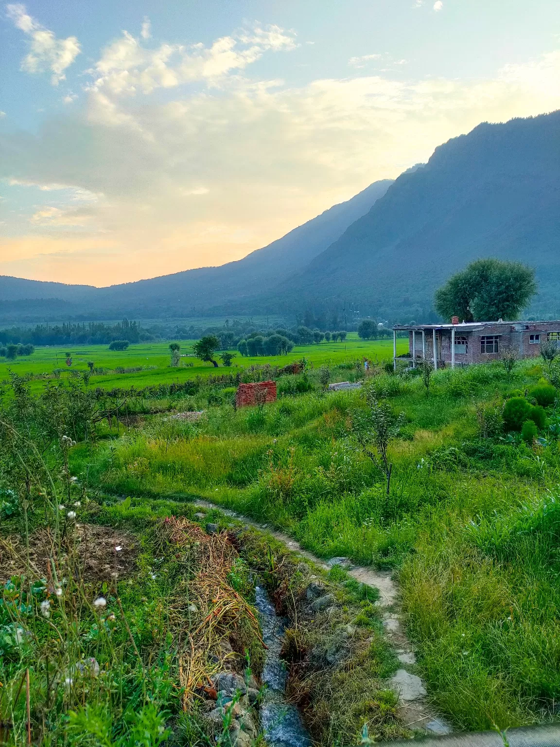 Photo of Tral By Mursaleen Wafai