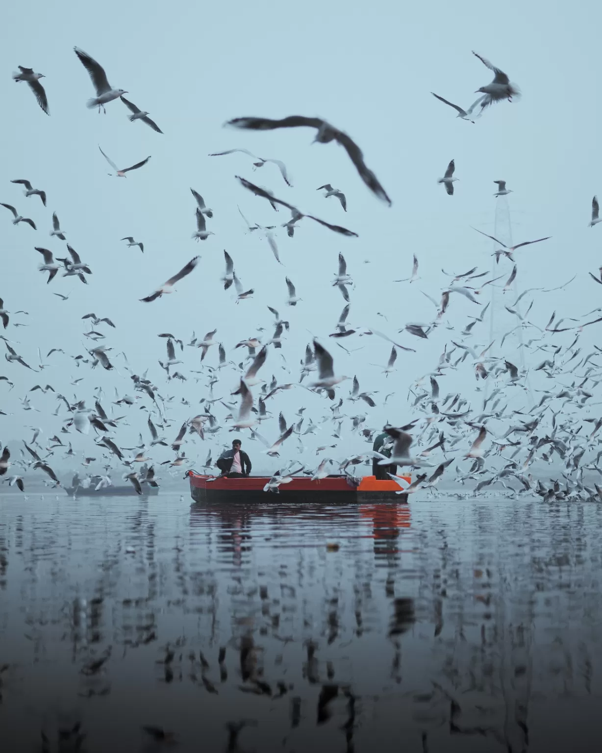 Photo of Yamuna River By Shailendra Singh