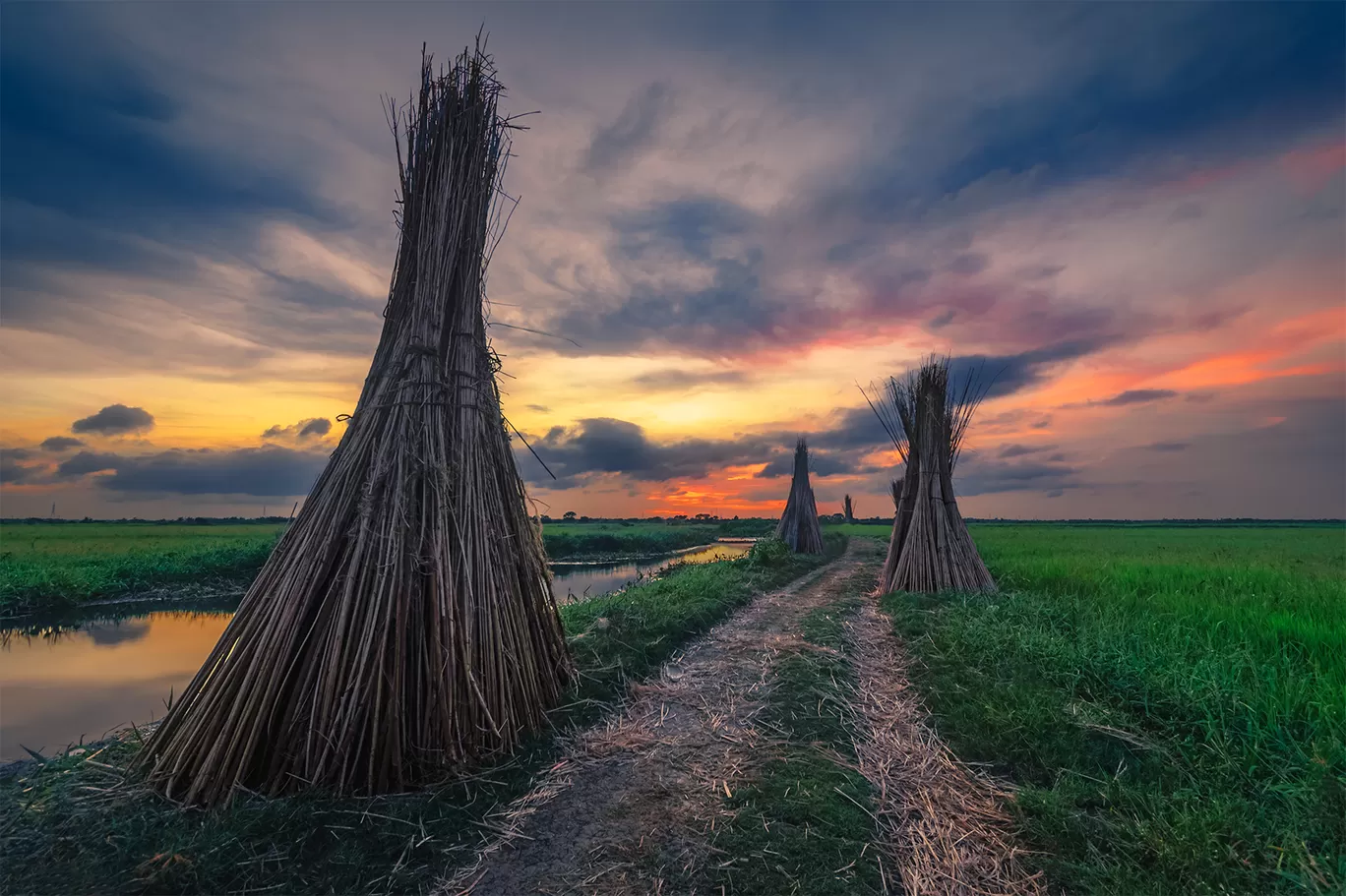 Photo of Bortir Bil By Subham Shome