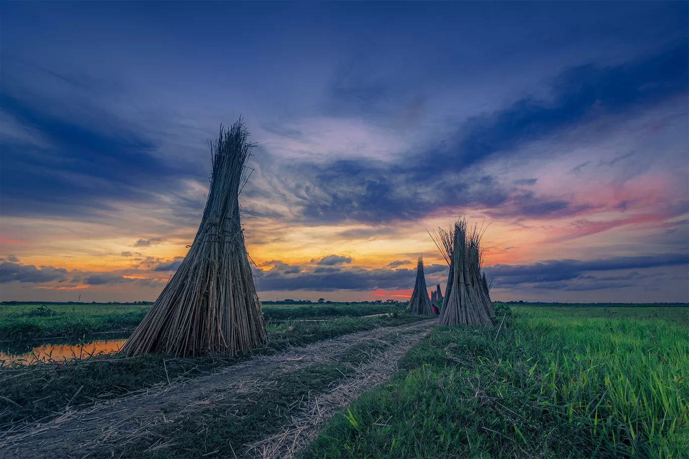 Photo of Bortir Bil By Subham Shome