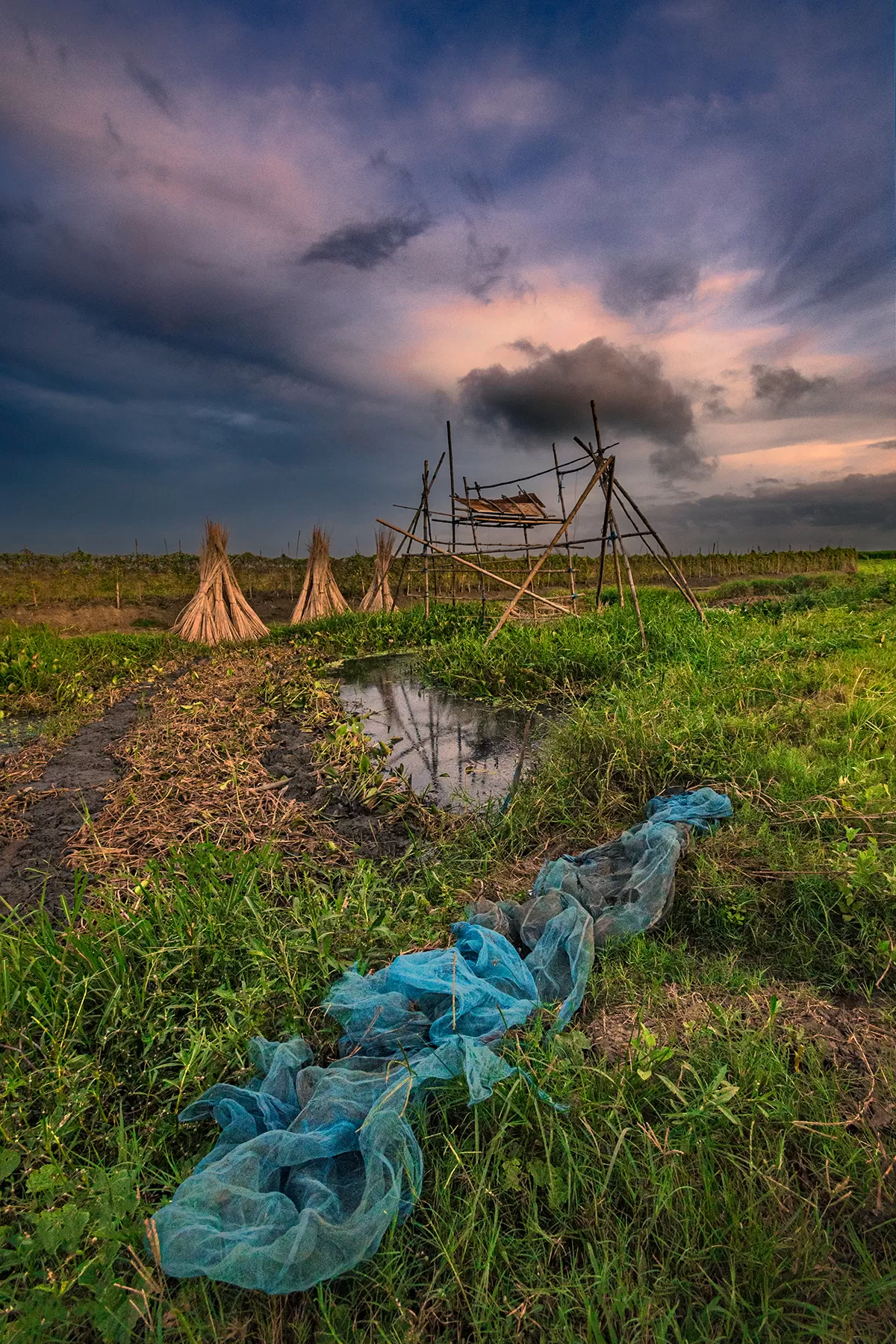 Photo of Bortir Bil By Subham Shome