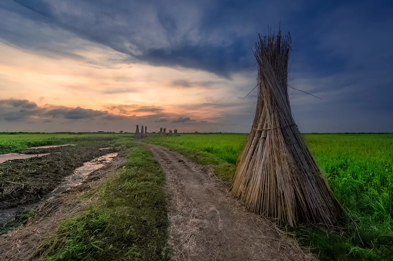 Photo of Bortir Bil By Subham Shome