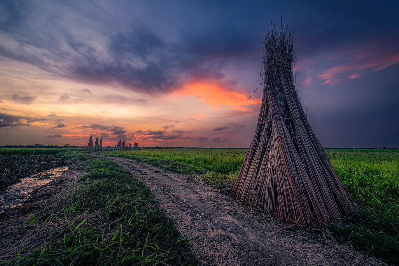 Photo of Bortir Bil By Subham Shome