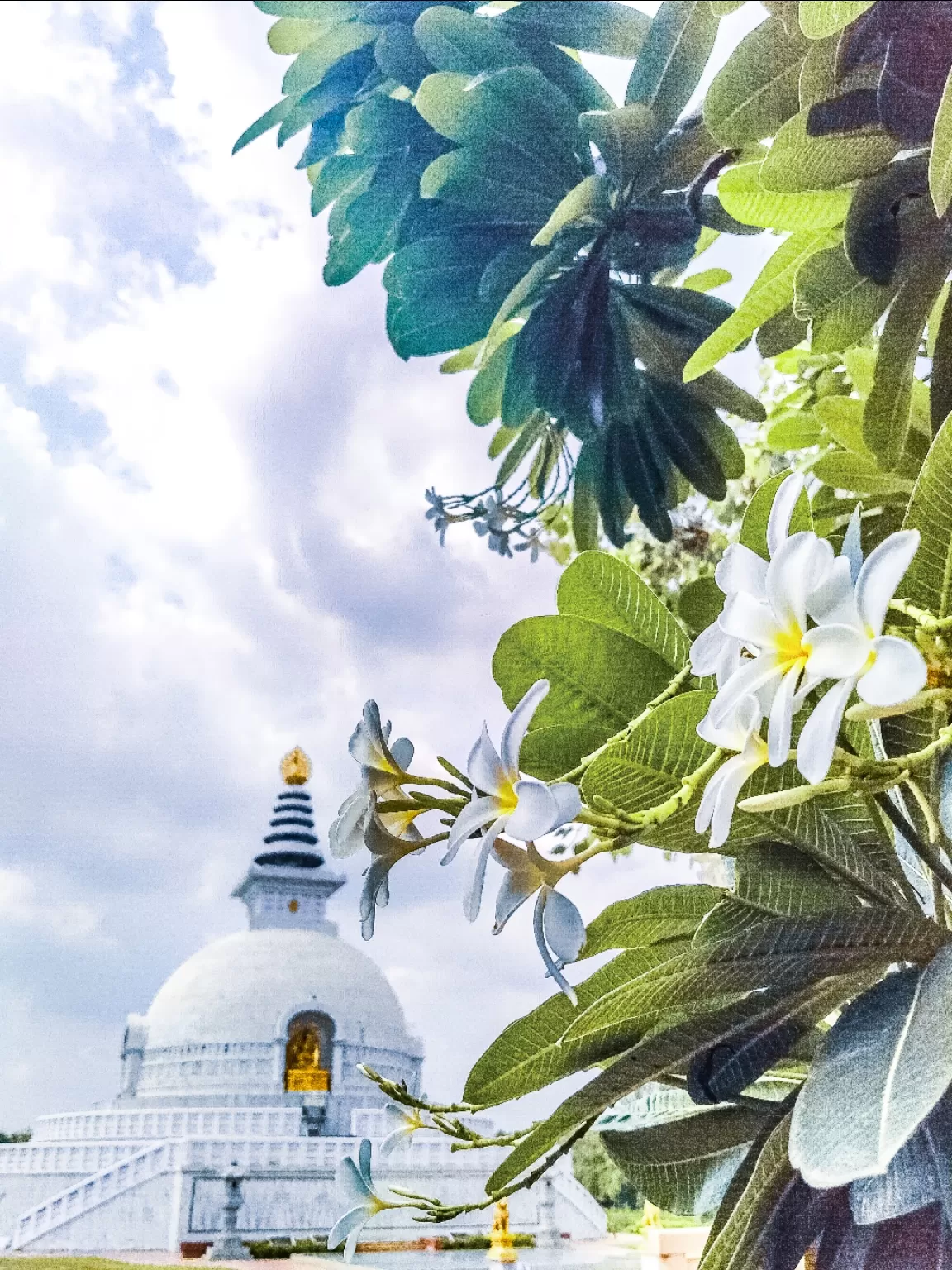 Photo of Shanti Stupa New Delhi By Ajit Rathore