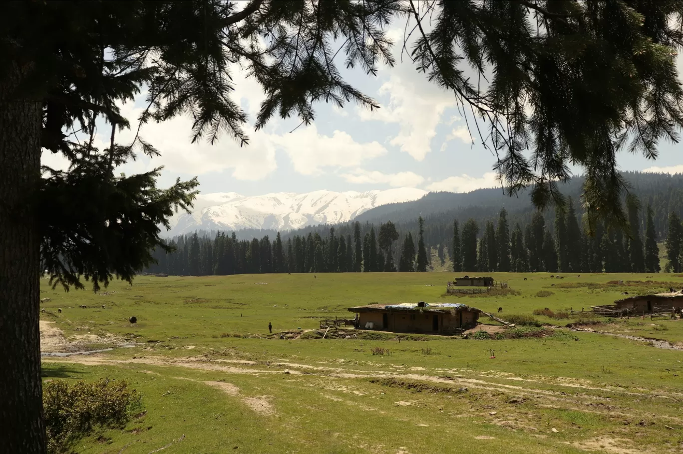 Photo of Shopian By Aaquib Ahad