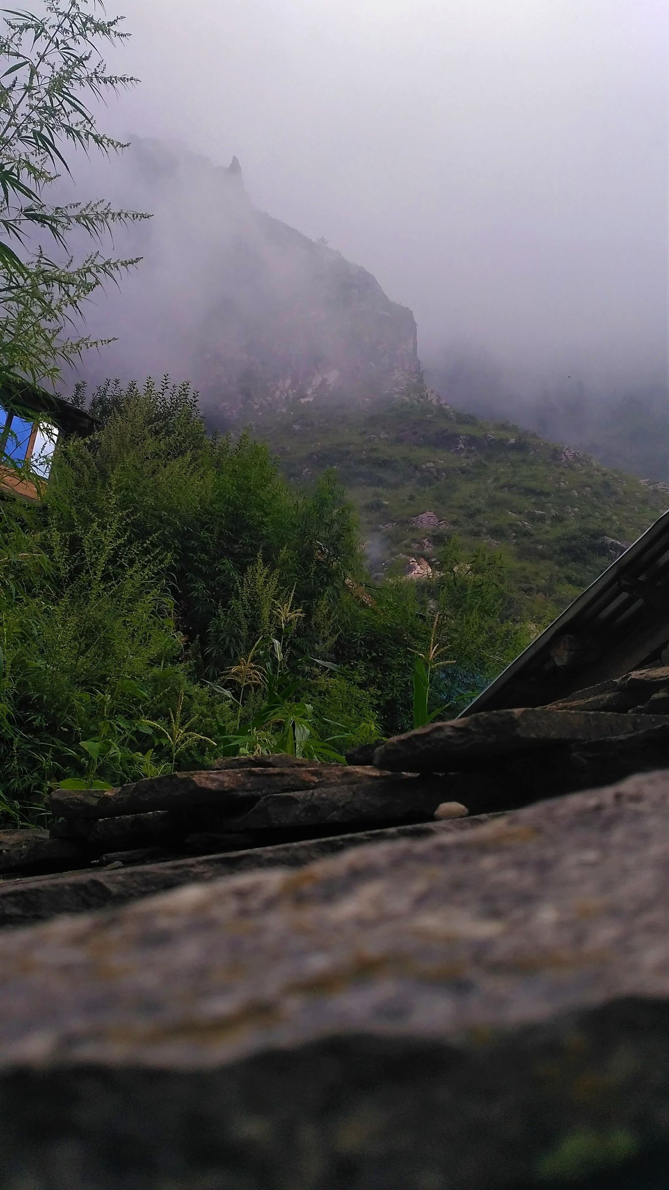 Photo of Rasol, a hidden paradise #himachalpradesh #tripotocommunity By Richesh Goswami