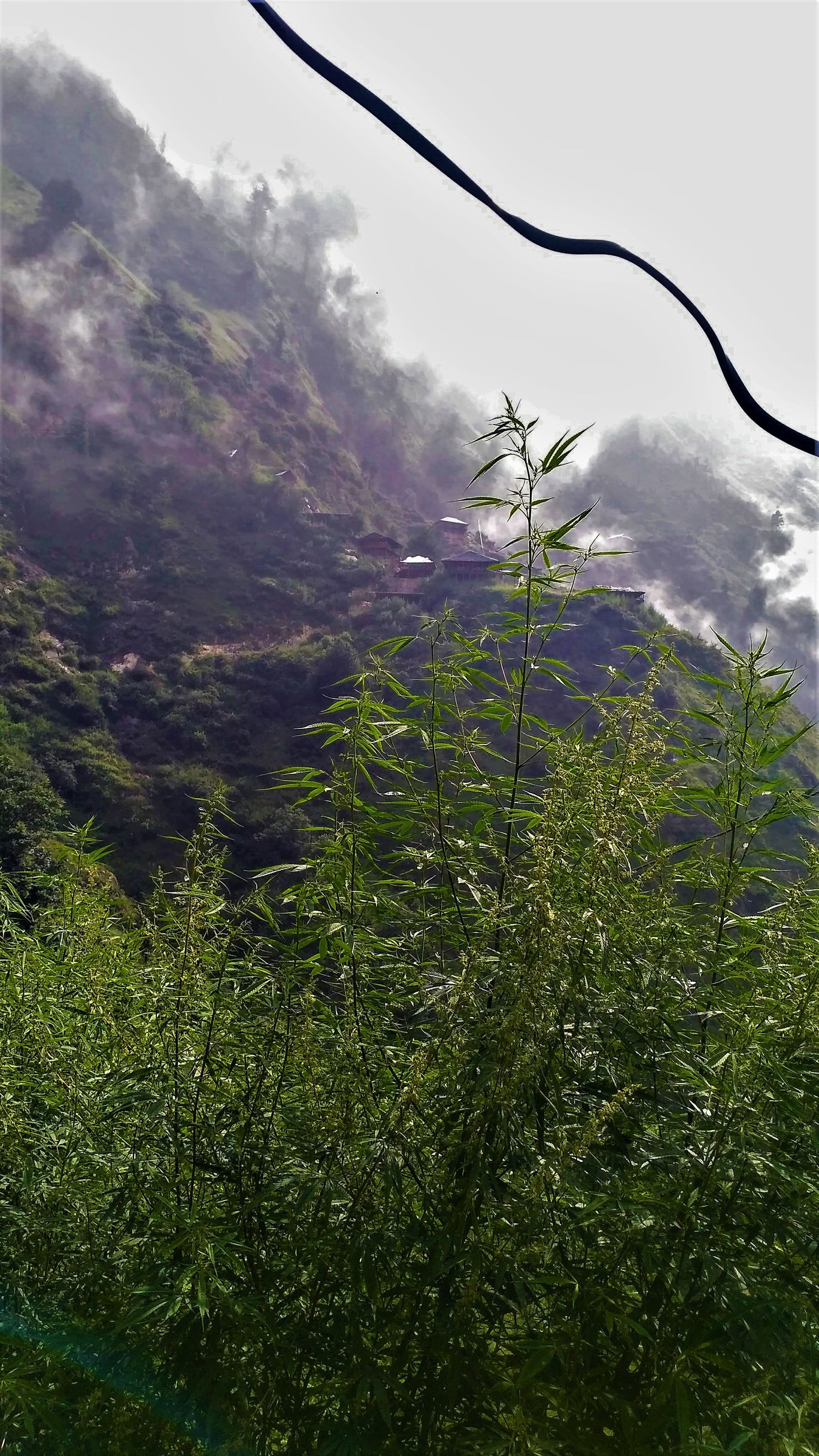 Photo of Rasol, a hidden paradise #himachalpradesh #tripotocommunity By Richesh Goswami