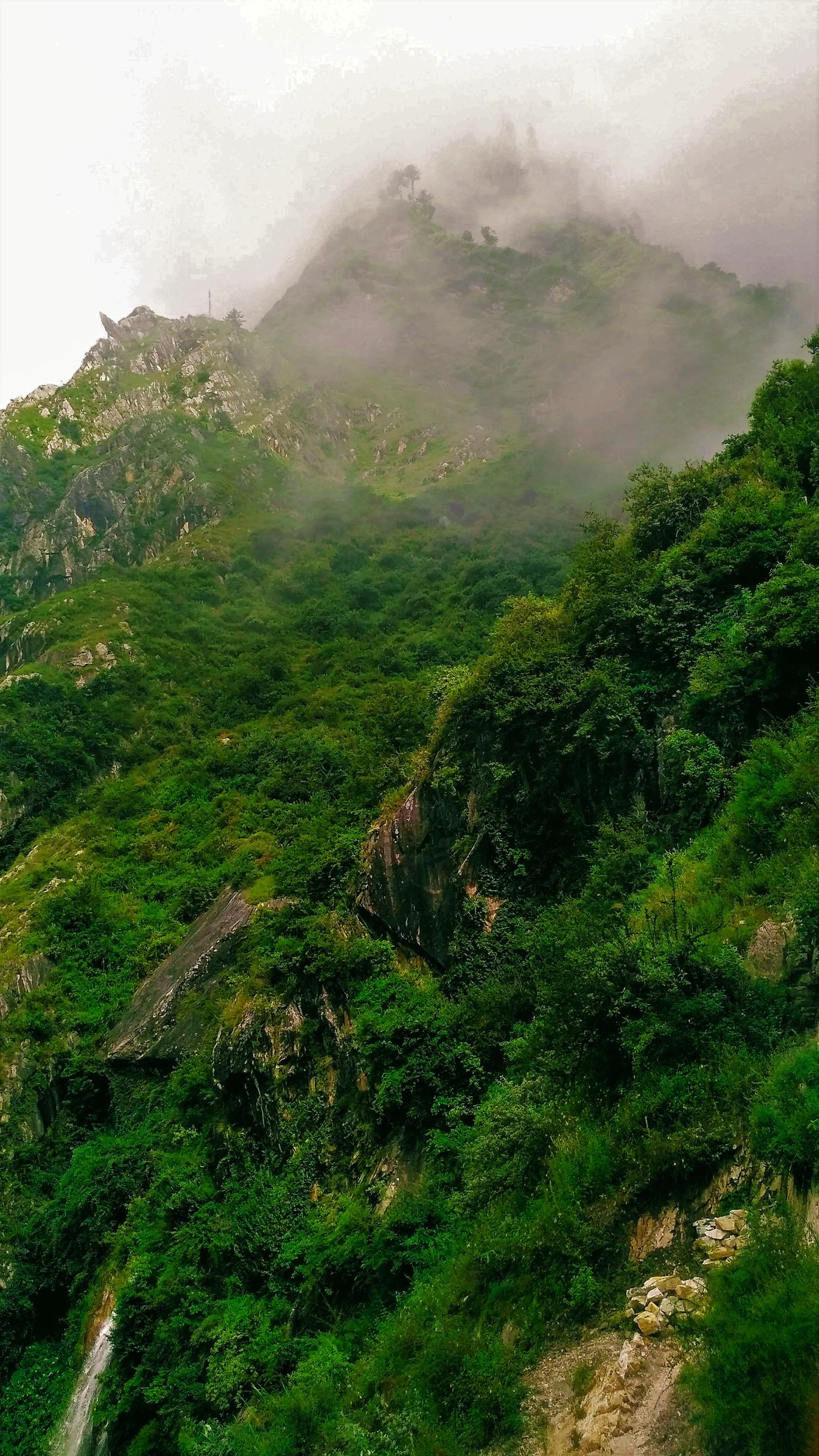 Photo of Rasol, a hidden paradise #himachalpradesh #tripotocommunity By Richesh Goswami