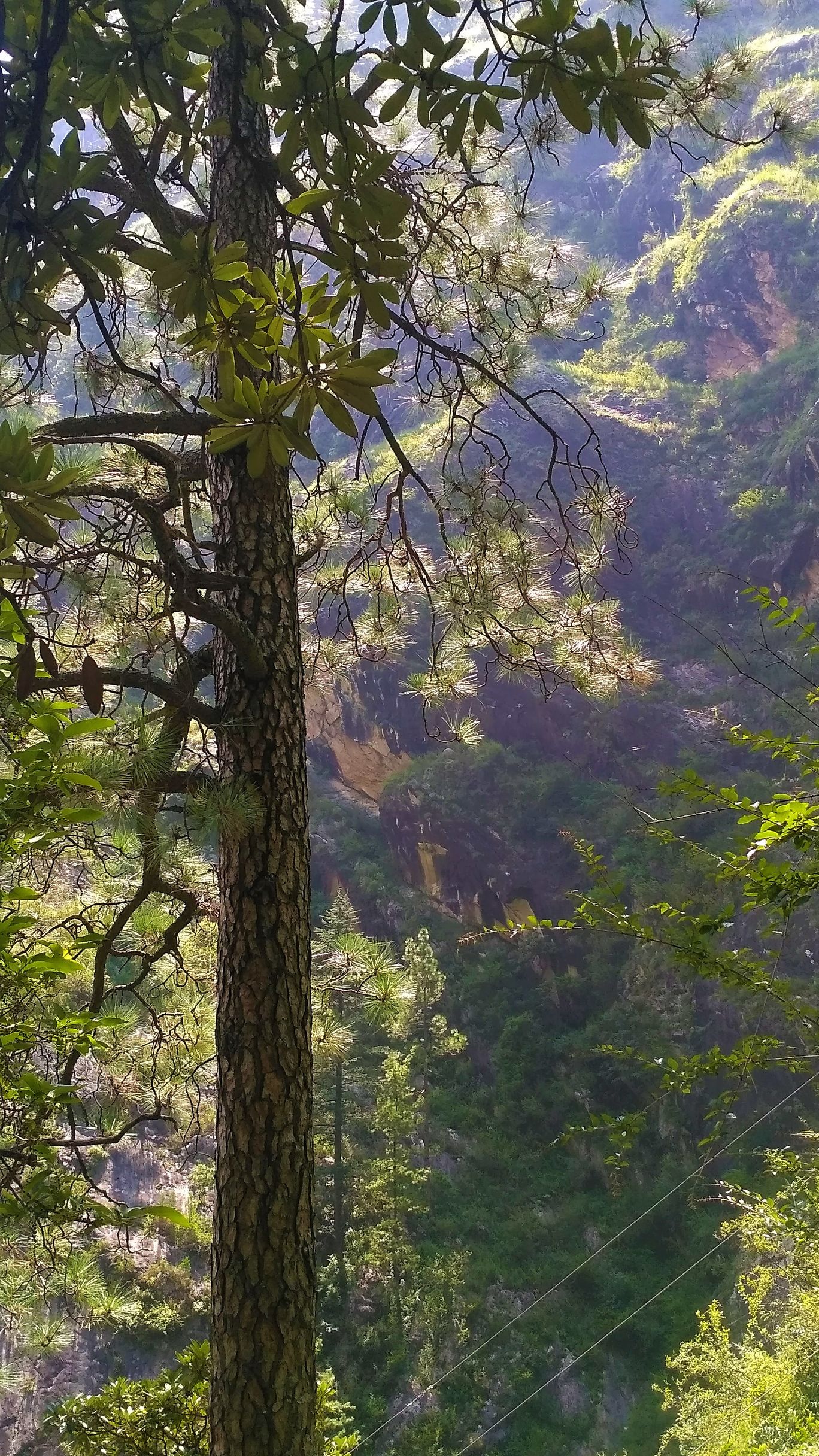 Photo of Rasol, a hidden paradise #himachalpradesh #tripotocommunity By Richesh Goswami
