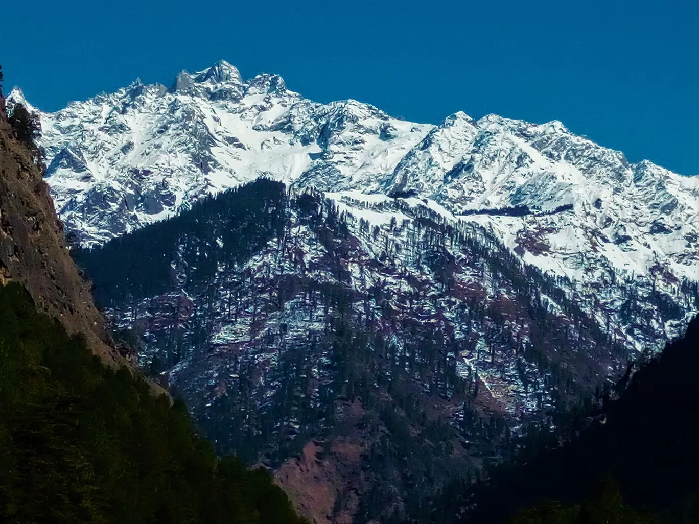 Photo of Chalal Trek Trail By Richesh Goswami