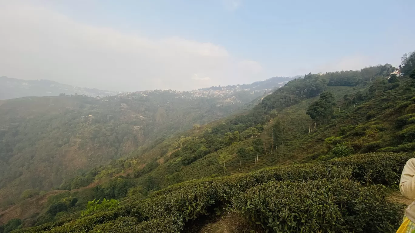 Photo of Darjeeling By travelogged