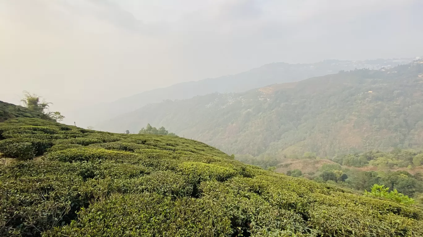 Photo of Darjeeling By travelogged