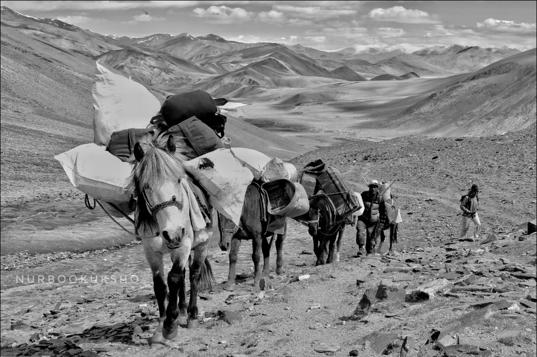 Photo of Tsomoriri By Tsewang Nurboo