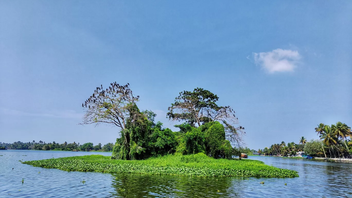 Photo of Alleppey By Tsewang Nurboo