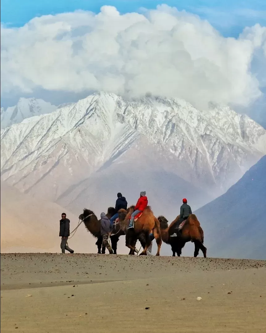 Photo of Nubra Valley By Tsewang Nurboo