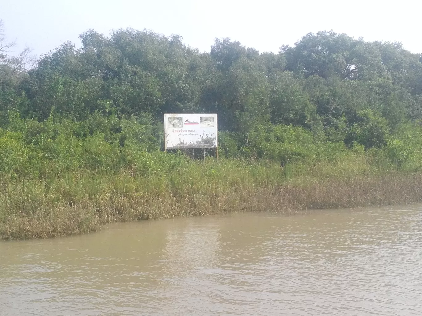 Photo of Bhitarkanika By Jyotirmaya Prasad Behera