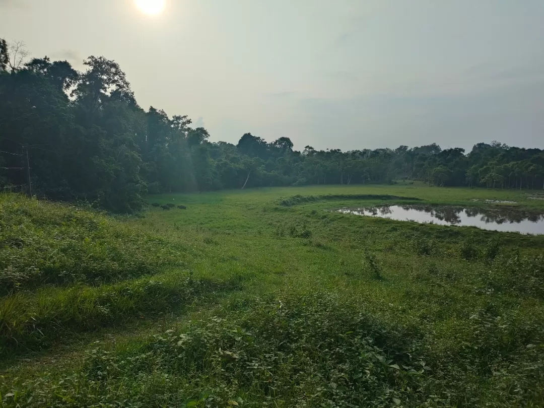 Photo of Gorumara National Park By Arko Banerjee