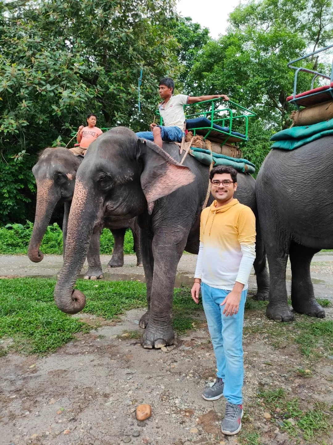 Photo of Gorumara National Park By Arko Banerjee