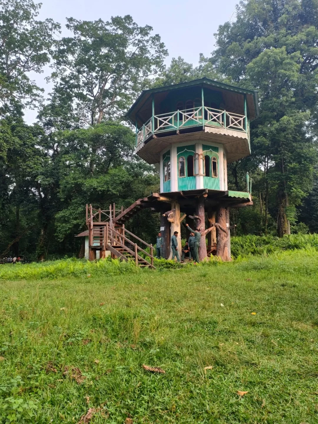 Photo of Gorumara National Park By Arko Banerjee