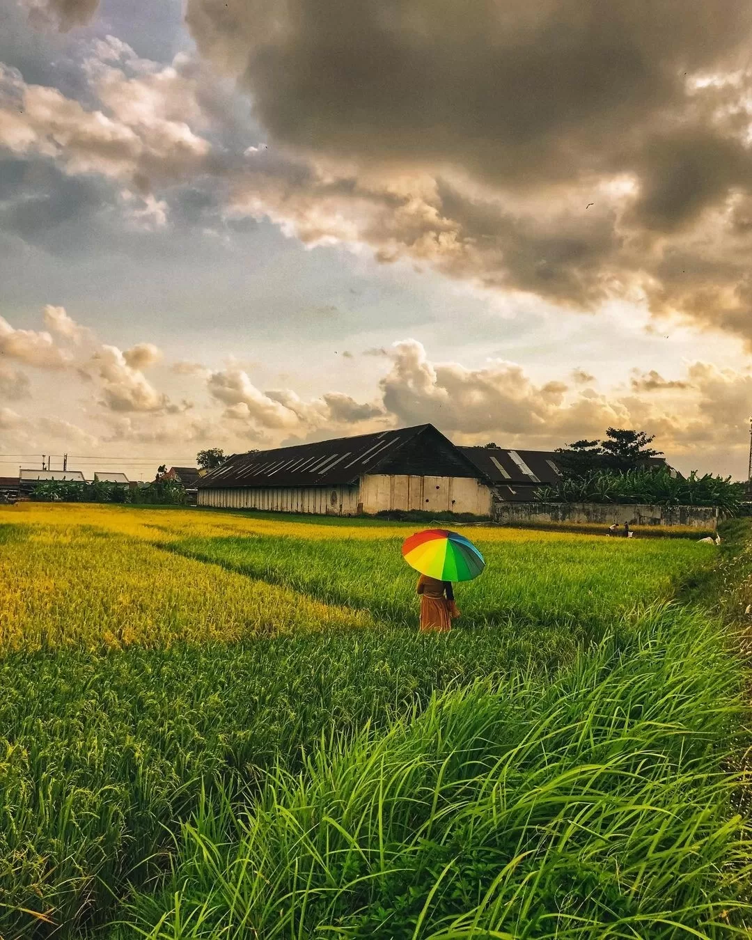 Photo of Indonesia By Nuna Farhanggi