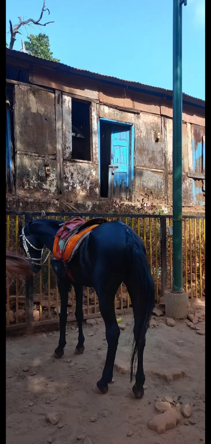 Photo of Matheran Hill Station By SNEHAL BHAGWAT