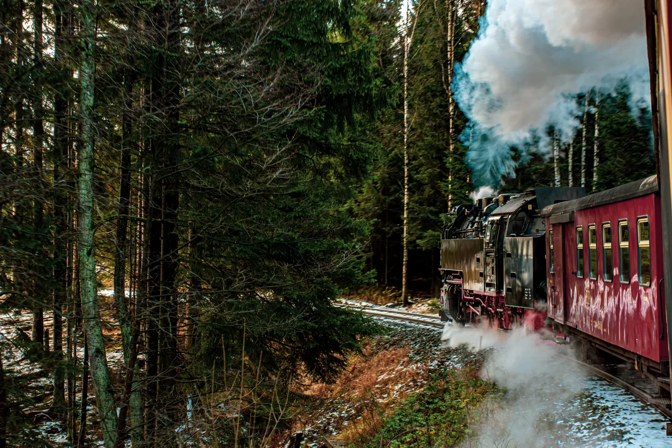 Photo of Harz By Ayushi Dani