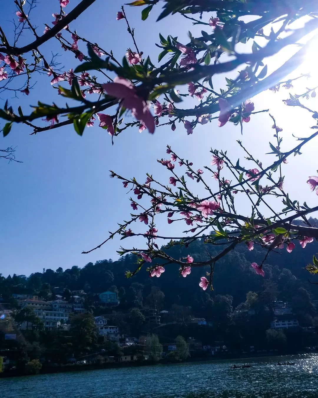 Photo of Naini Lake By Anushnaa