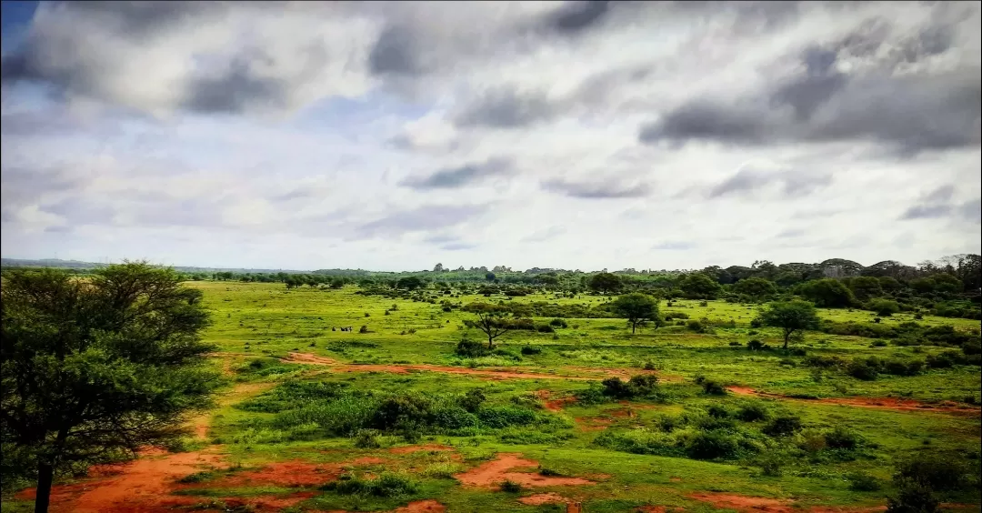 Photo of Hesaraghatta Lake By Shruthi Sundaram