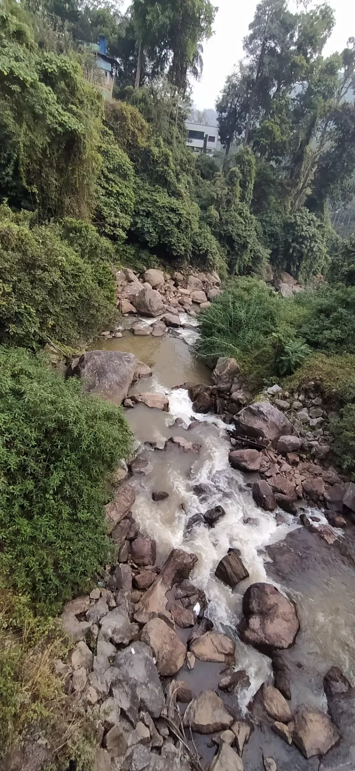 Photo of Munnar By Shruthi Sundaram