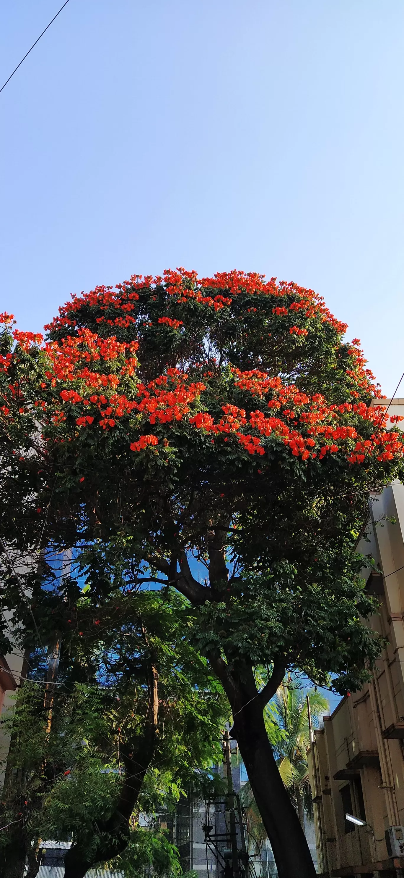Photo of Bengaluru By Shruthi Sundaram