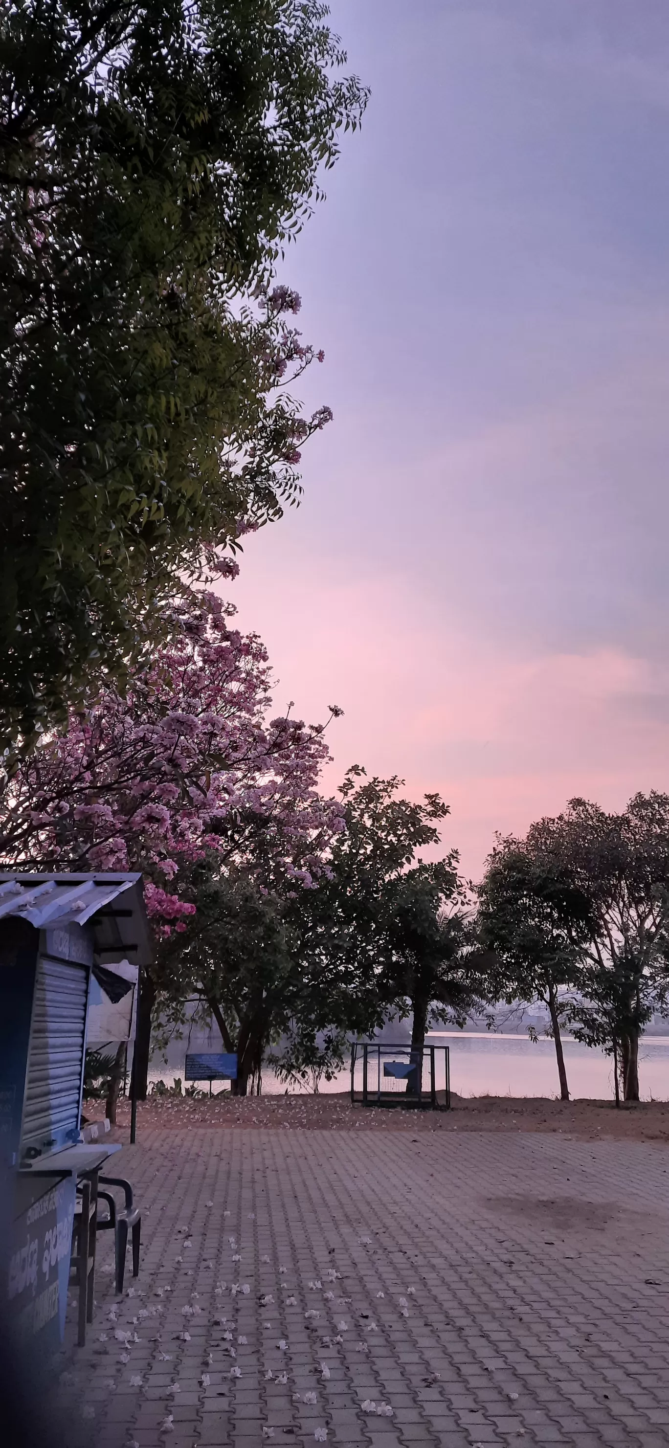Photo of Bengaluru By Shruthi Sundaram