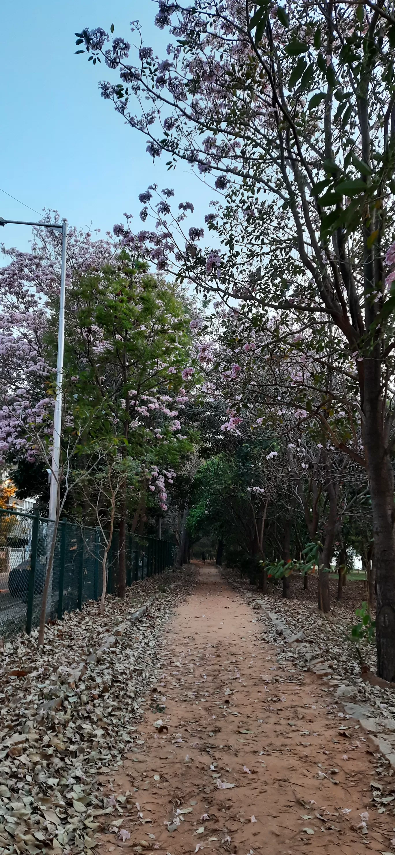Photo of Bengaluru By Shruthi Sundaram