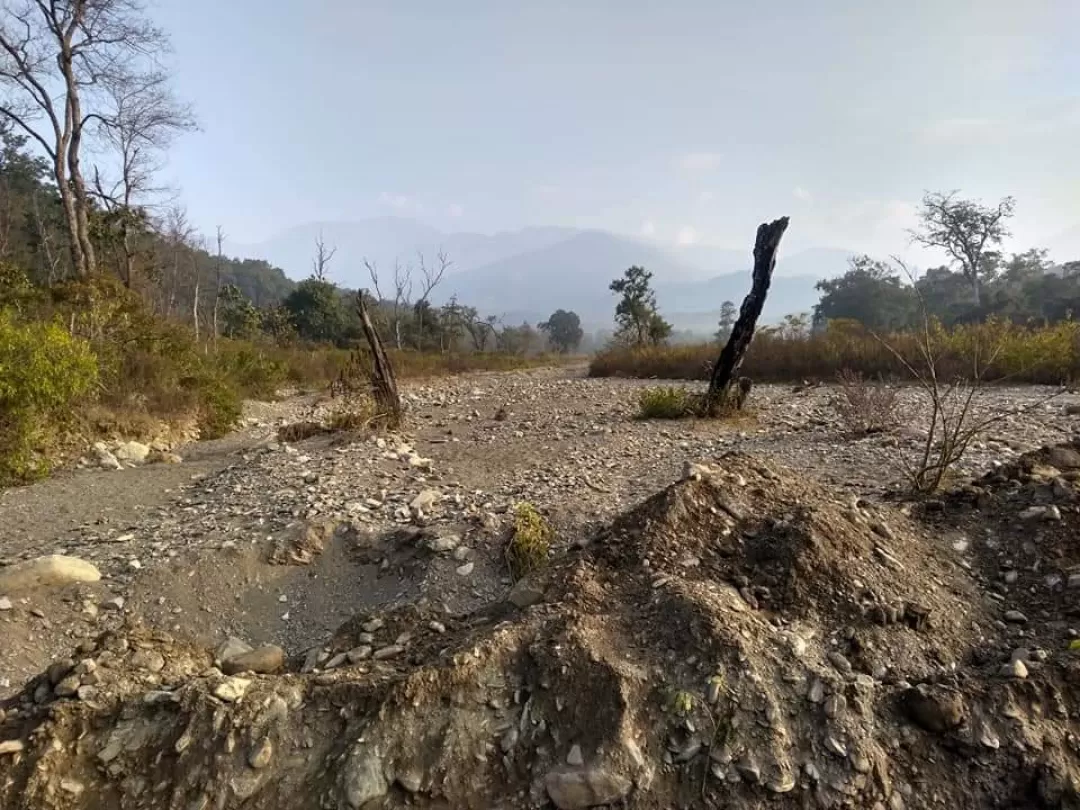 Photo of Jim Corbett National Park By Vihang Suryavanshi