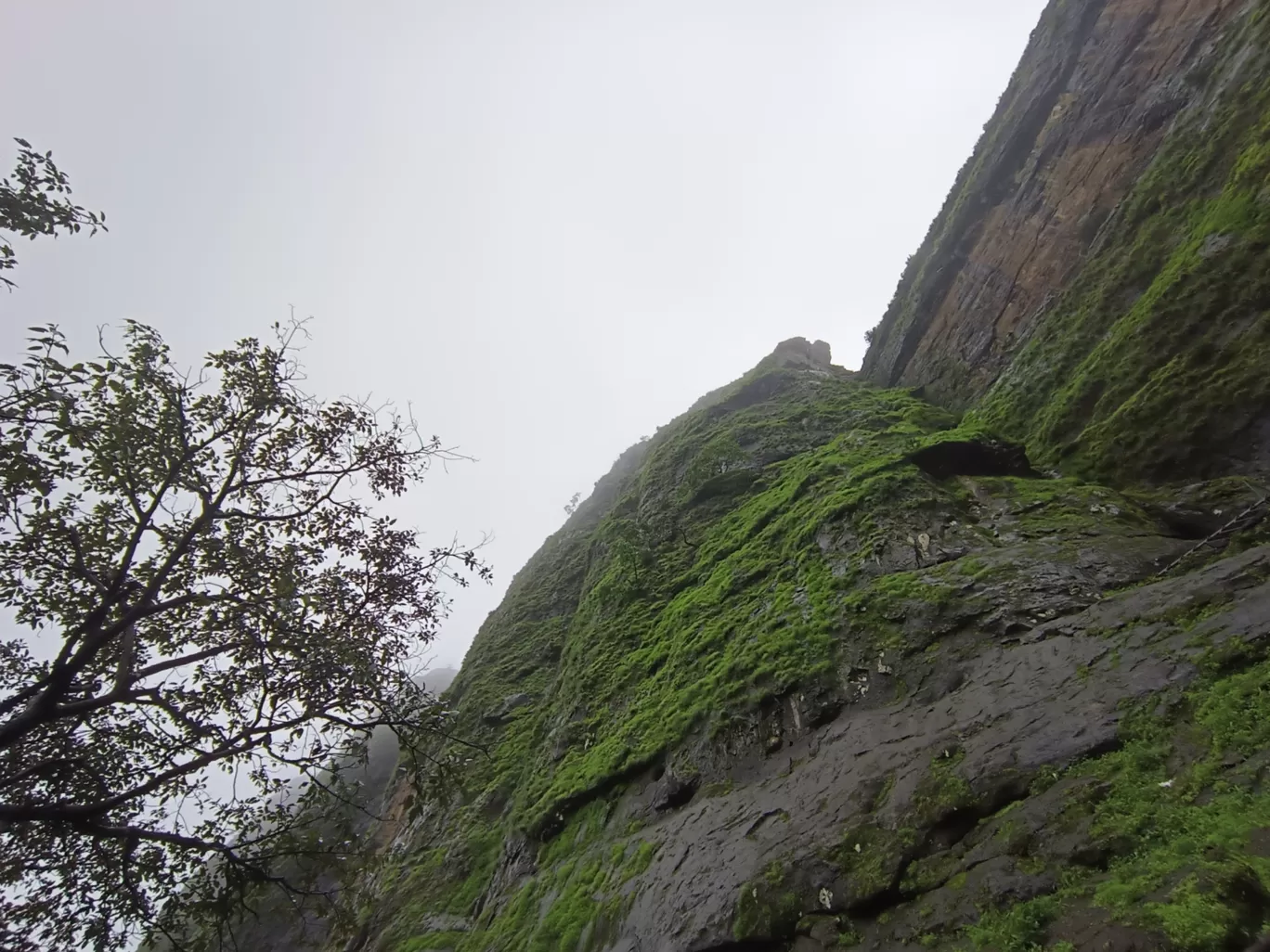 Photo of Trimbakeshwar By Vihang Suryavanshi