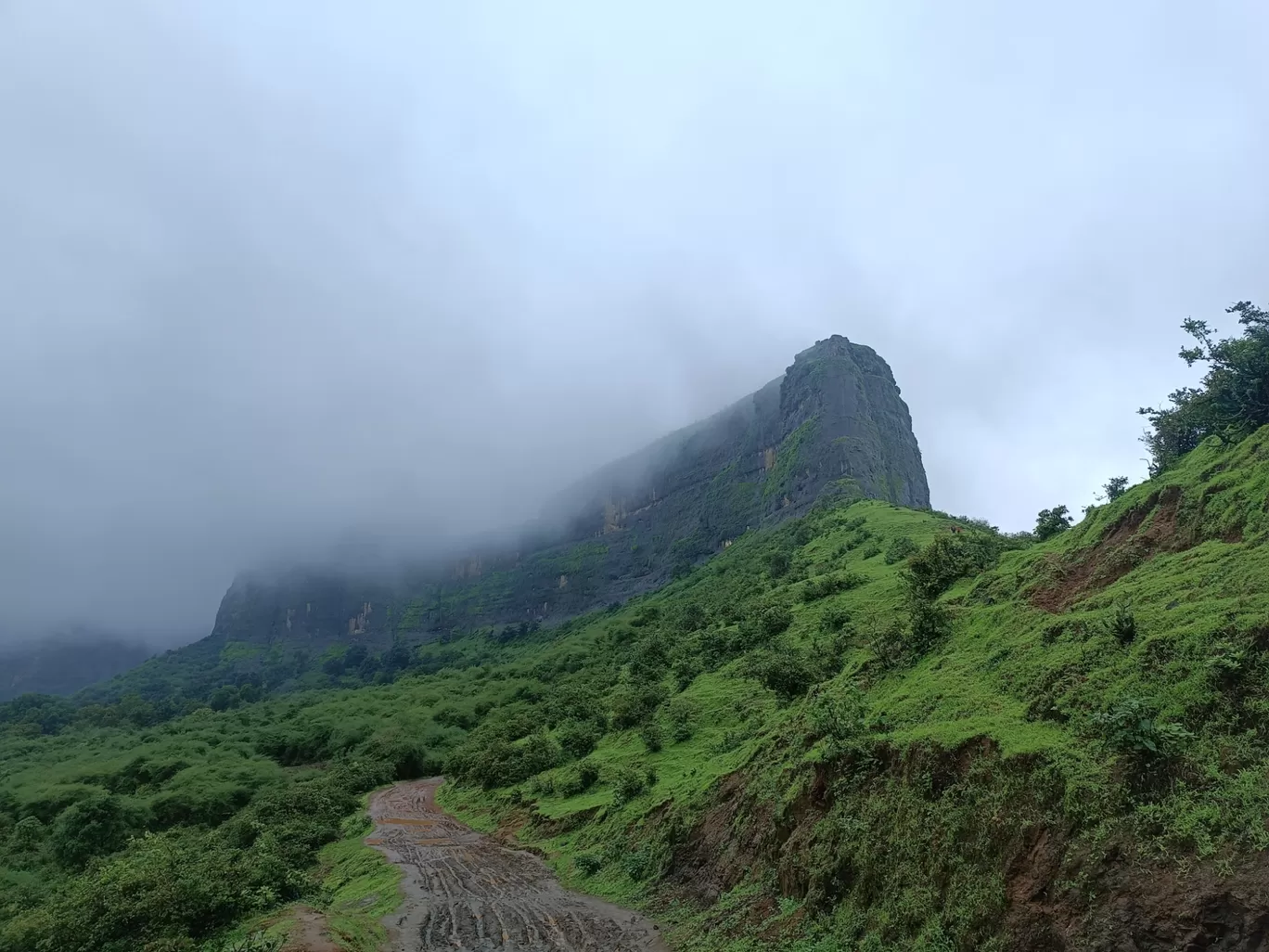 Photo of Trimbakeshwar By Vihang Suryavanshi